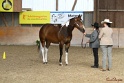 23-APHA SS_027